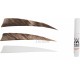 WILD MOUNTAIN PLUMES NAT.