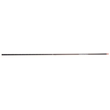 EASTON FLECHE