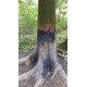 BLACK FIRE ORIGINAL - GOUDRON ATTRACTIF SANGLIER
