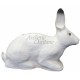 SRT 3D CIBLE LAPIN