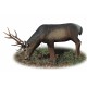 A.A. CIBLE 3D CERF ROUGE QUI BOIT