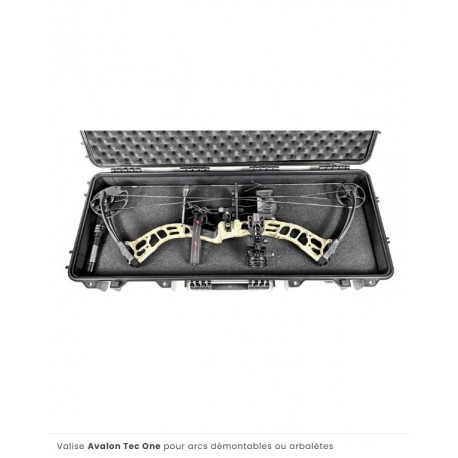 VALISE AVALON TEC ONE HARD CASE