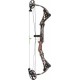 MATHEWS DRENALIN