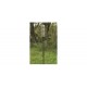 ALLEN ANYWHERE TRAIL CAMERA HOLDER