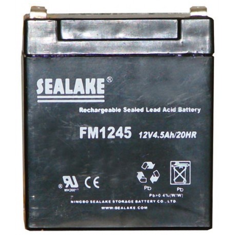 Batterie 12 V rechargeable