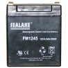 Batterie 12 V rechargeable